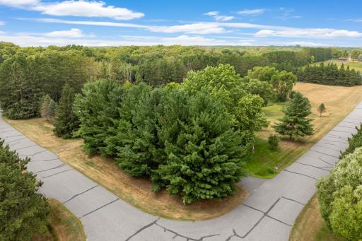 19010 Albatross St NW Oak Grove, Mn-01.jpg