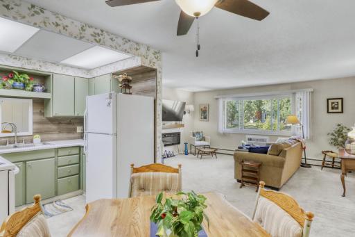 1229 Madison Avenue, 295, Detroit Lakes, MN 56501