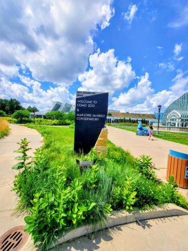 One of the best places in Minnesota is Como Zoo