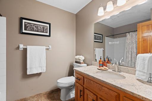1173 Ruffed Grouse Court, Lino Lakes, MN 55014