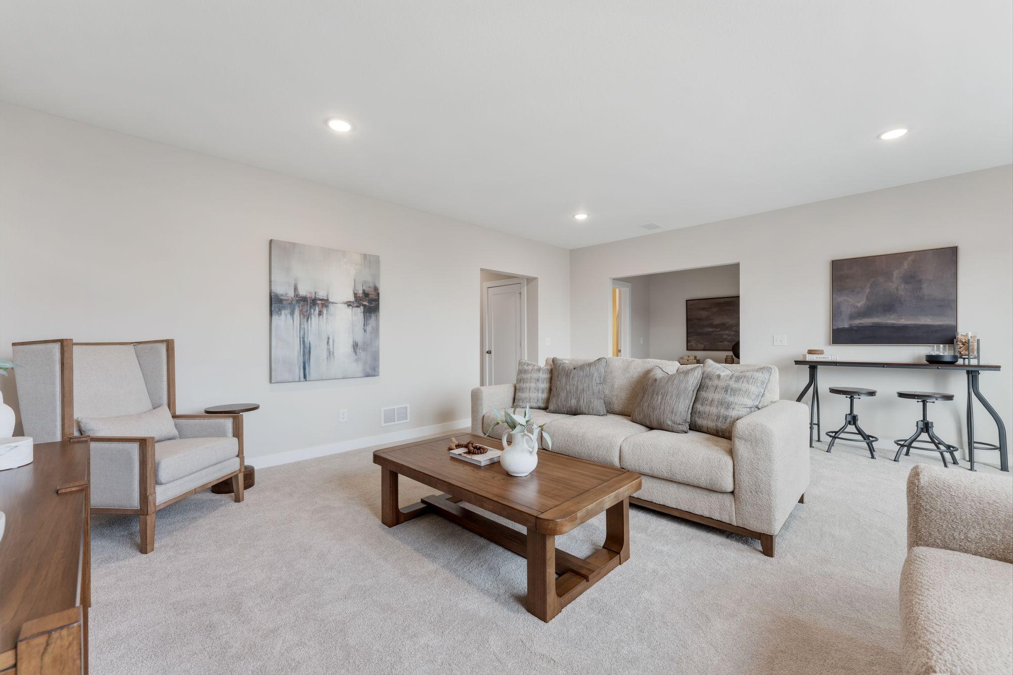 Lower level family room