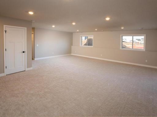Finished Lower Level - Camden