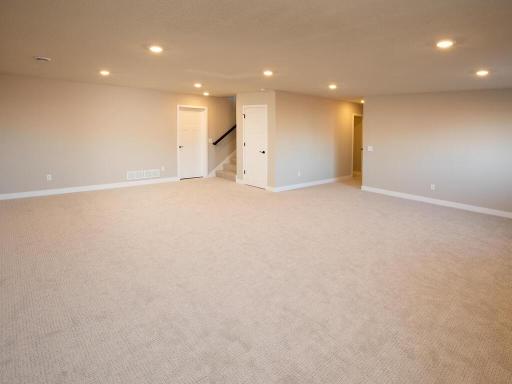 Finished Lower Level - Camden