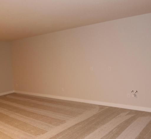 Finished Lower Level with plumbing and electrical rough-in, for Future Wet Bar