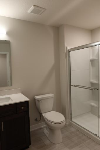Lower Level Bath 3
