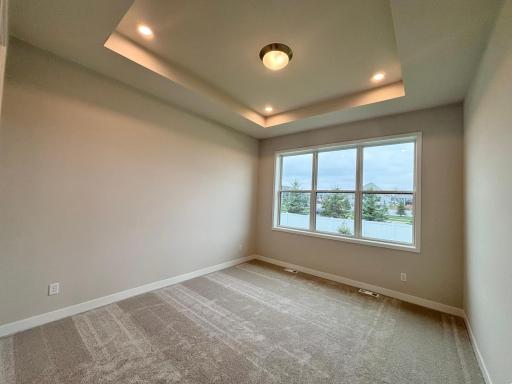Main level main bedroom with dramatic attached bath and closet