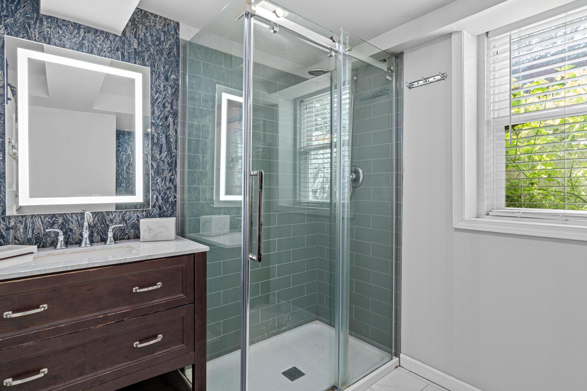 Lower level bathroom