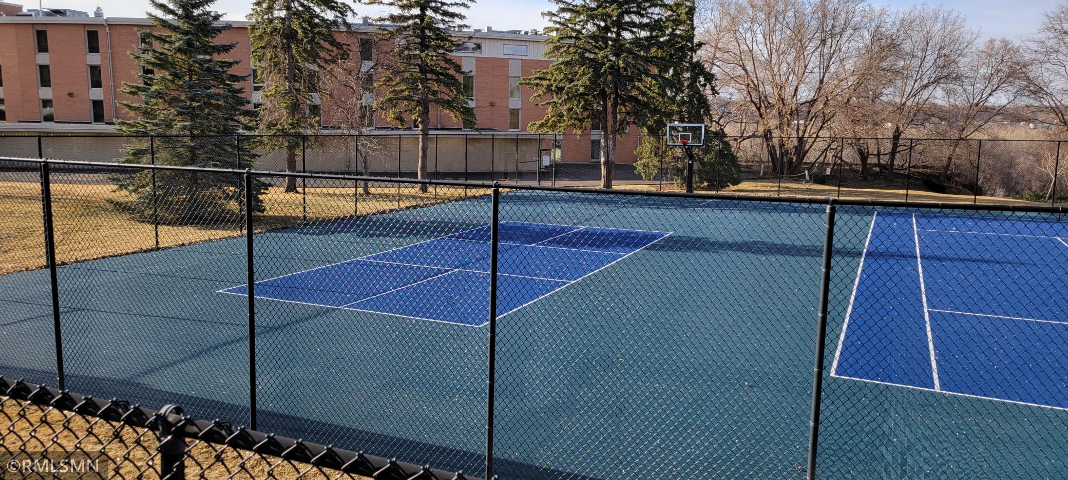 Pickleball Court and Basketball Hoop .jpg
