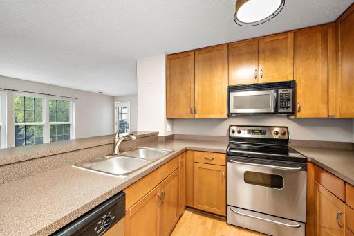 6155 Chasewood Parkway, 204, Minnetonka, MN 55343