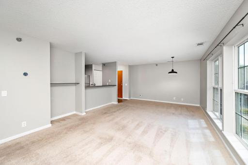 6155 Chasewood Parkway, 204, Minnetonka, MN 55343