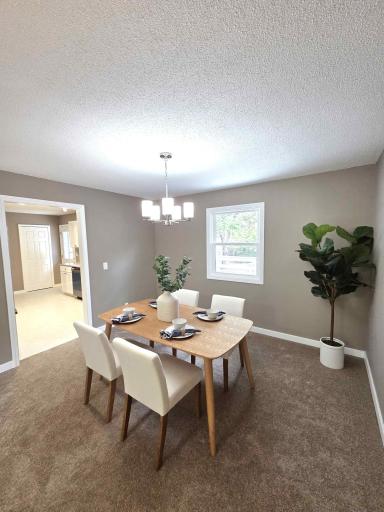 13316 Valley Forge Lane N, Champlin, MN 55316