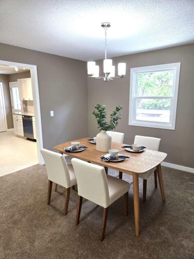 13316 Valley Forge Lane N, Champlin, MN 55316