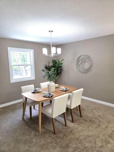 13316 Valley Forge Lane N, Champlin, MN 55316