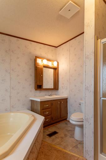 605 Old Willow Court NW, Bemidji, MN 56601