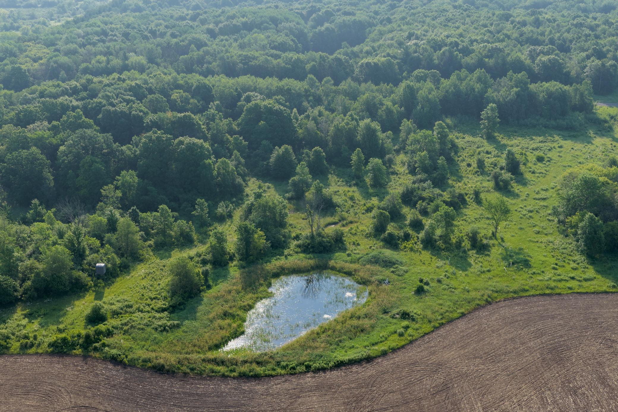DJI_20260702082448_0119_D.JPG
