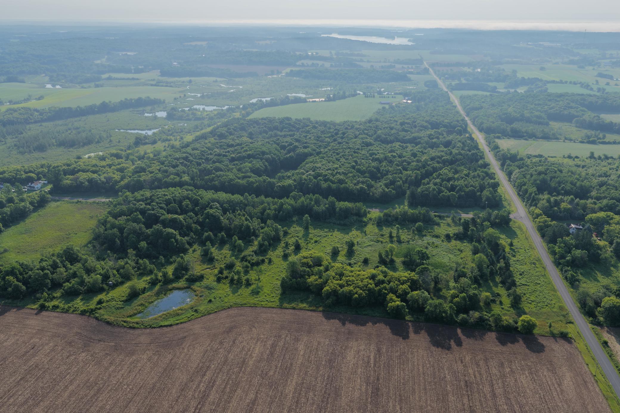 DJI_20260702082031_0112_D.JPG