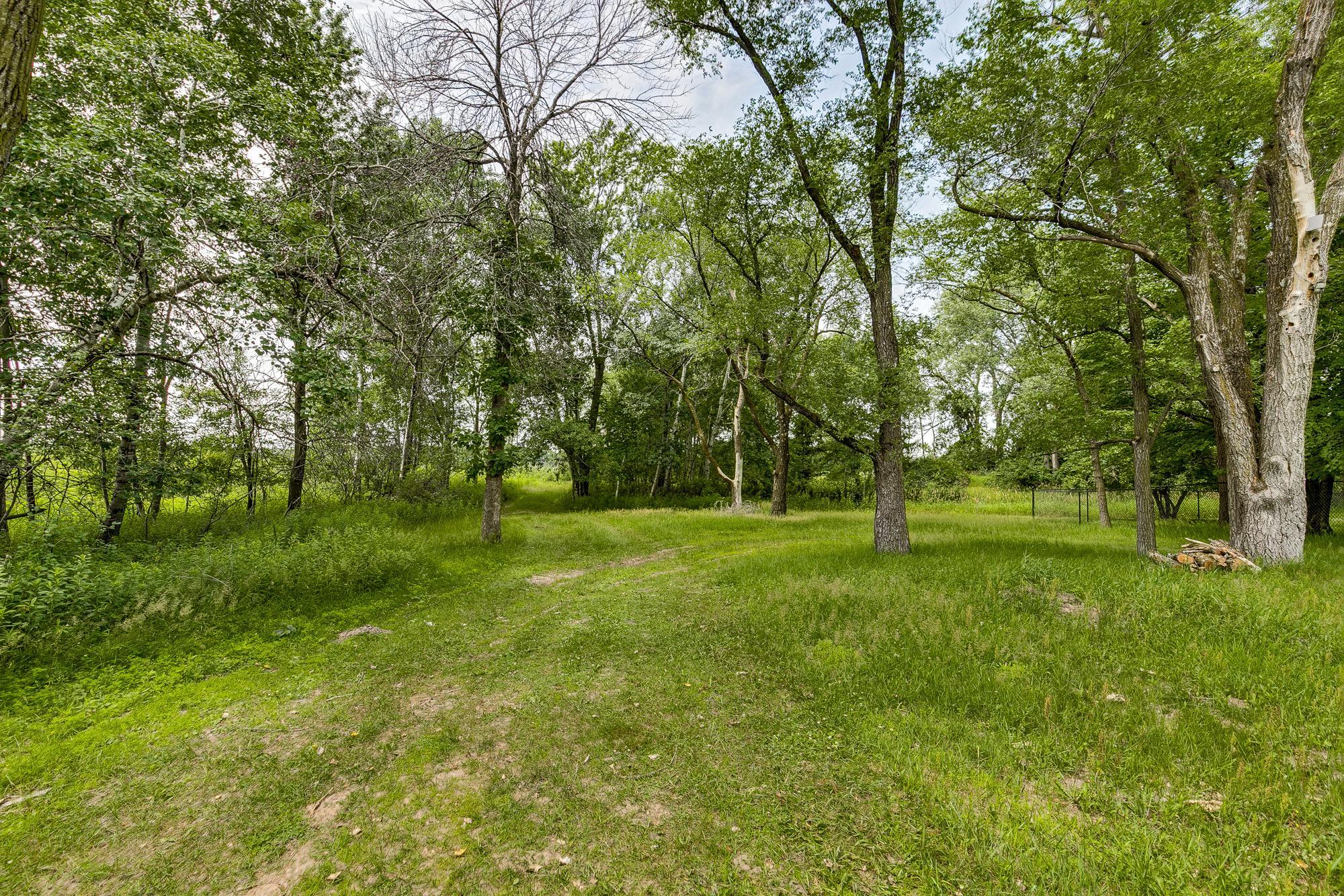 Entering Wooded Area at Back of Lot