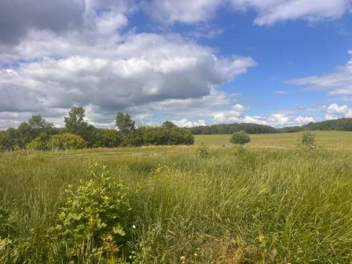 E5973 1370th Avenue, Ridgeland, WI 54763