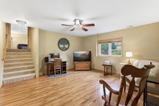 The 4th Level has yet Another Family Room with Lookout Windows.