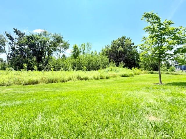 image4.jpeg
