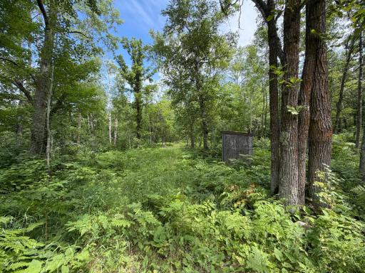 Photo for TBD County 95, Laporte, MN 56461 - listing #7104268 TBD County 95, Laporte, MN 56461