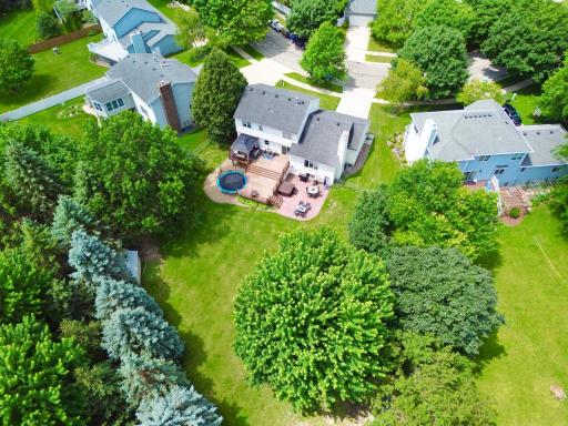 dji_fly_20260707_122822_151_1783445045063_photo.jpg
