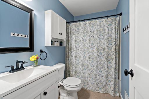 23-web-or-mls-6017 Birchcrest Dr Edina MN_0033.jpg