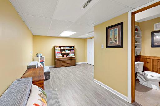 47-web-or-mls-6017 Birchcrest Dr Edina MN_0057.jpg