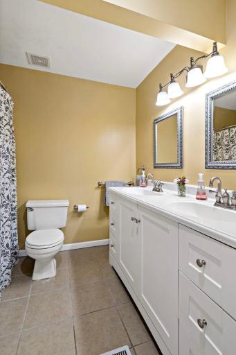 39-web-or-mls-6017 Birchcrest Dr Edina MN_0049.jpg