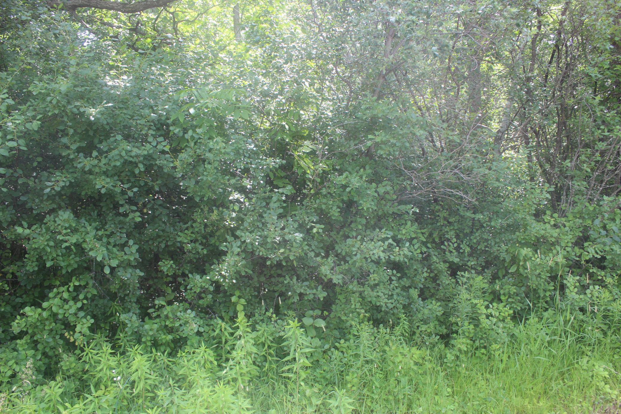 IMG_0454.JPG