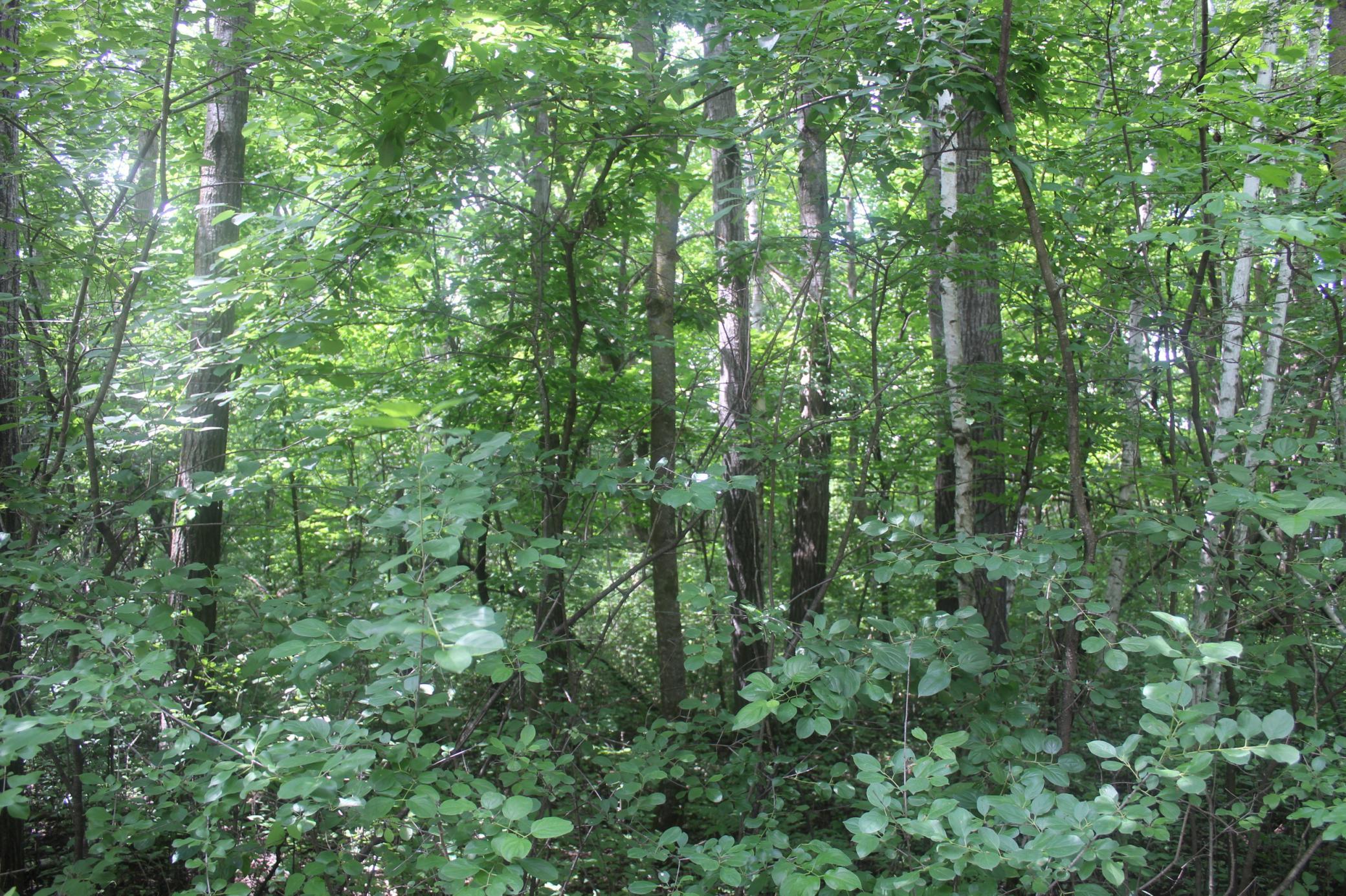 IMG_0458.JPG