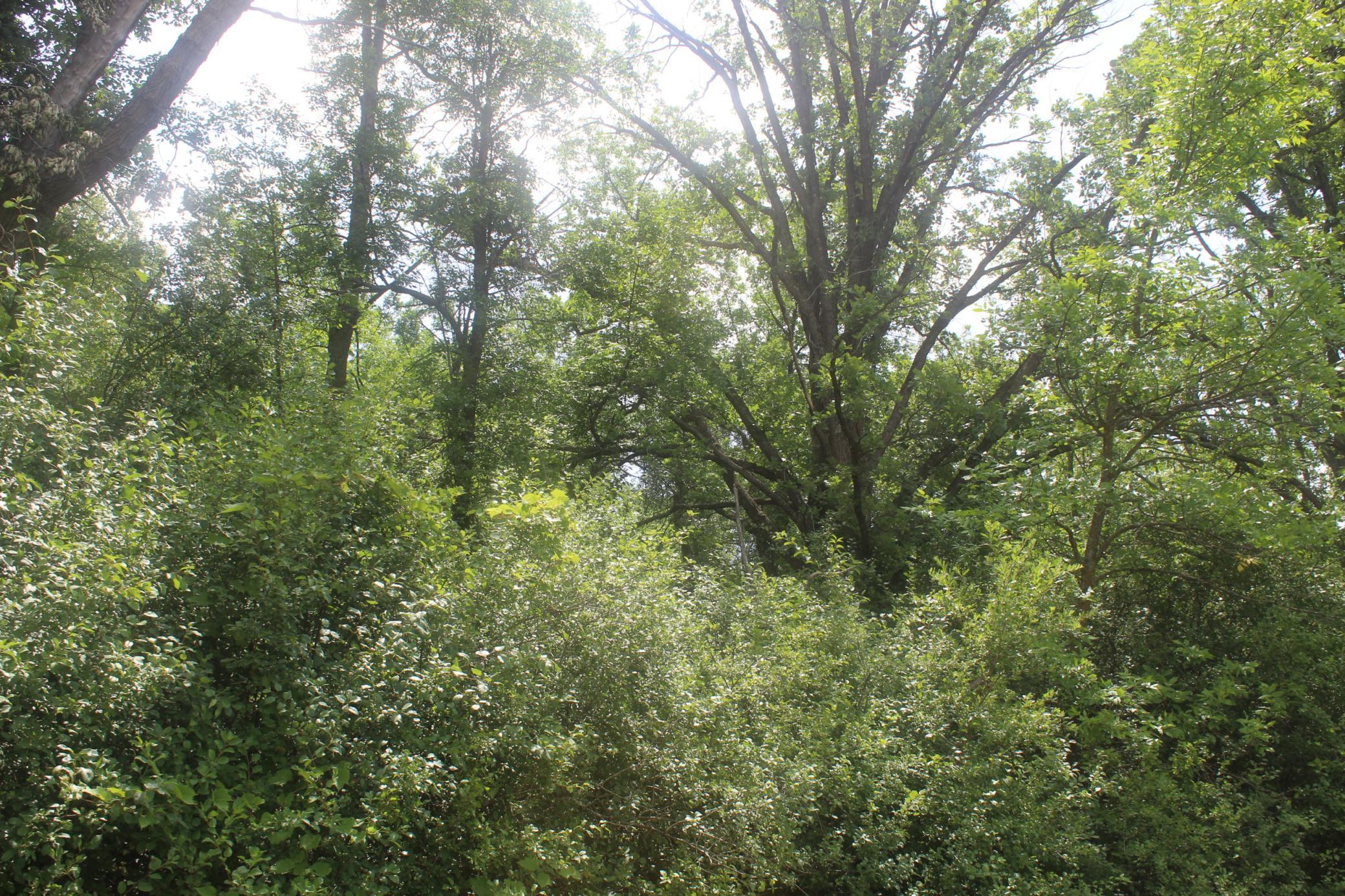 IMG_0455.JPG