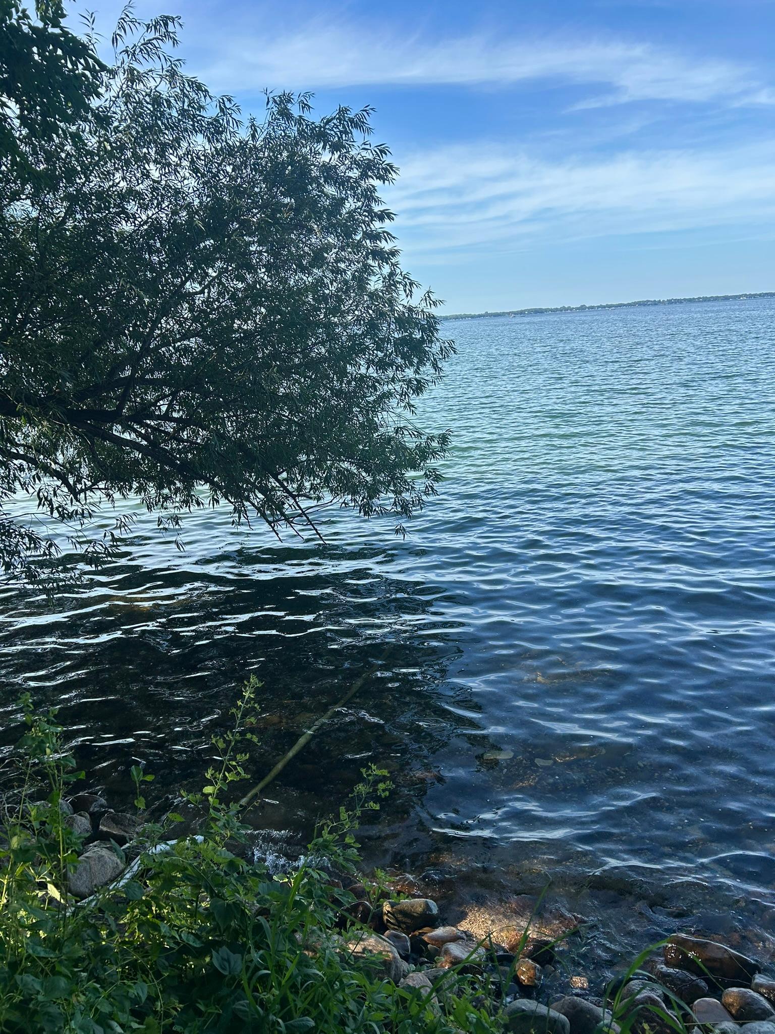 IMG_0746.JPEG