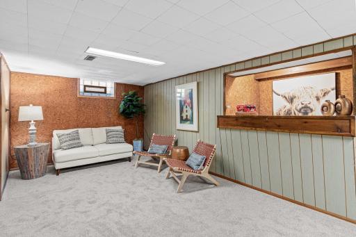 Lower-level family room. Brand new carpet installed.
