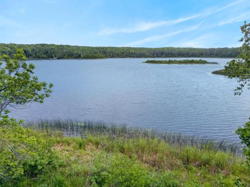 38837 Sissebakwet Shores Road, Cohasset, MN 55721