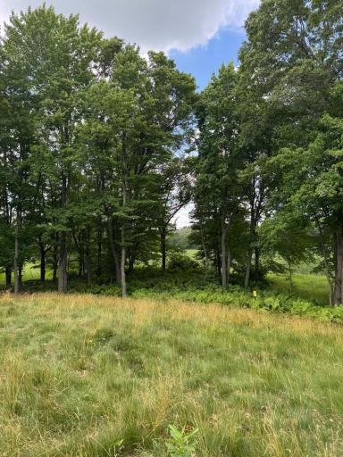 355 176th Lane NE, Ham Lake, MN 55304