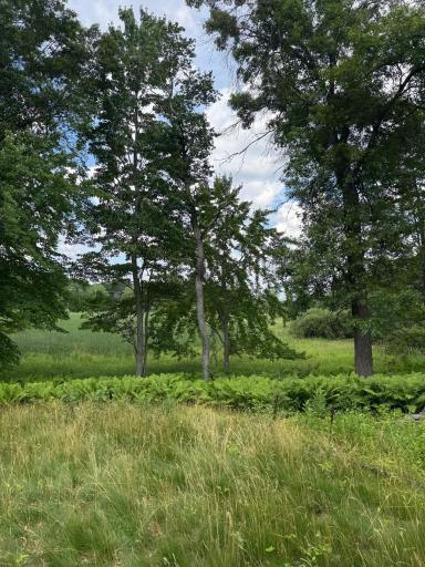 355 176th Lane NE, Ham Lake, MN 55304