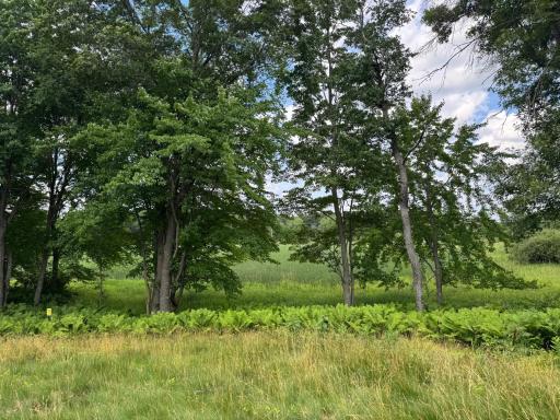 355 176th Lane NE, Ham Lake, MN 55304