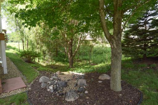 Backyard Surrounded by Mature Trees for Privacy.jpg