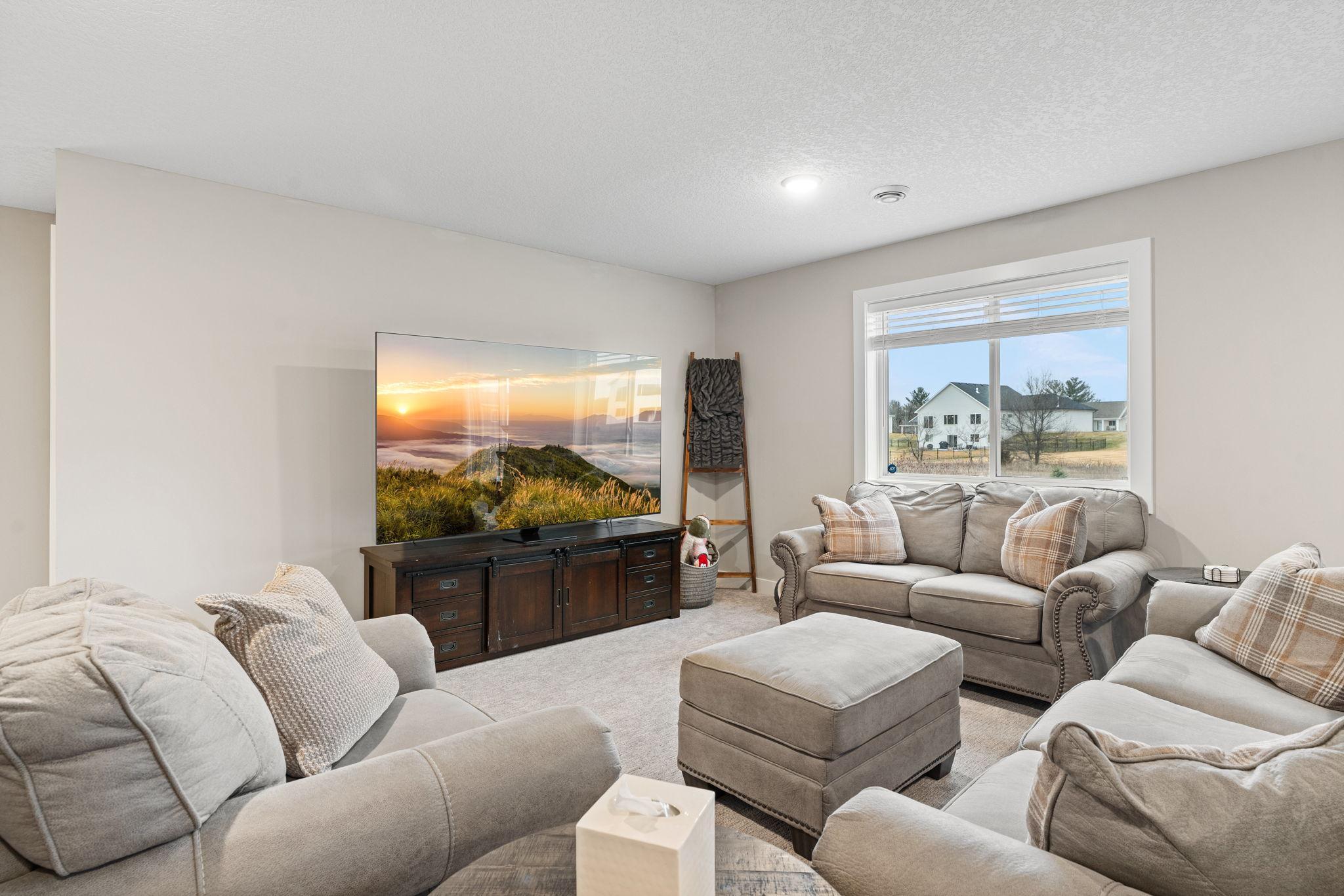 Lower level family room