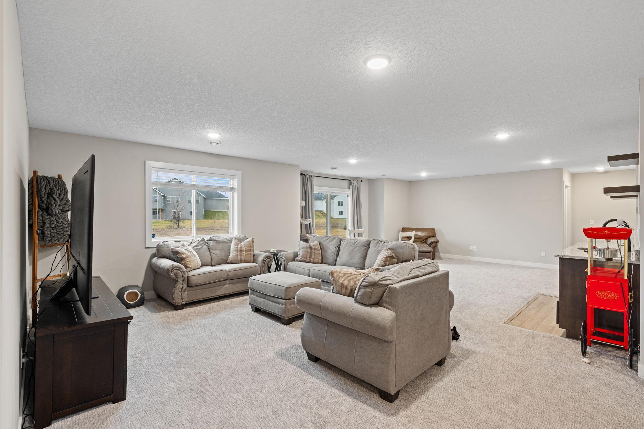 Lower level family room
