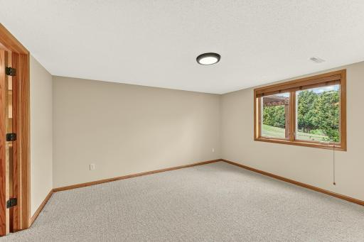 Lower Level Bedroom 1