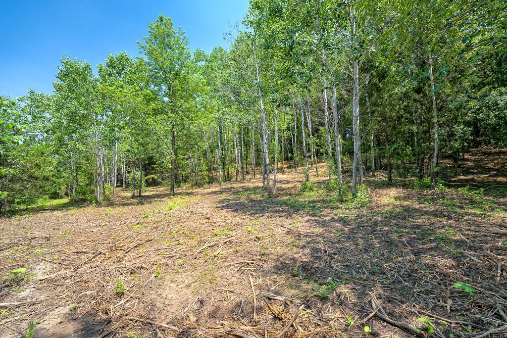 This property offers endless opportunities