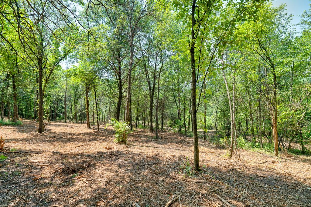 Acres of privacy yet in the heart of the city