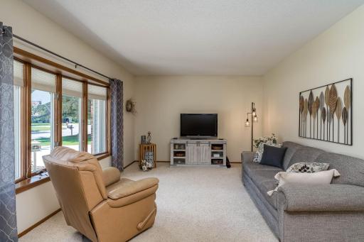 1028 Shady Oak Drive, Mankato, MN 56003