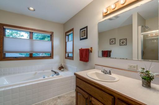 1028 Shady Oak Drive, Mankato, MN 56003