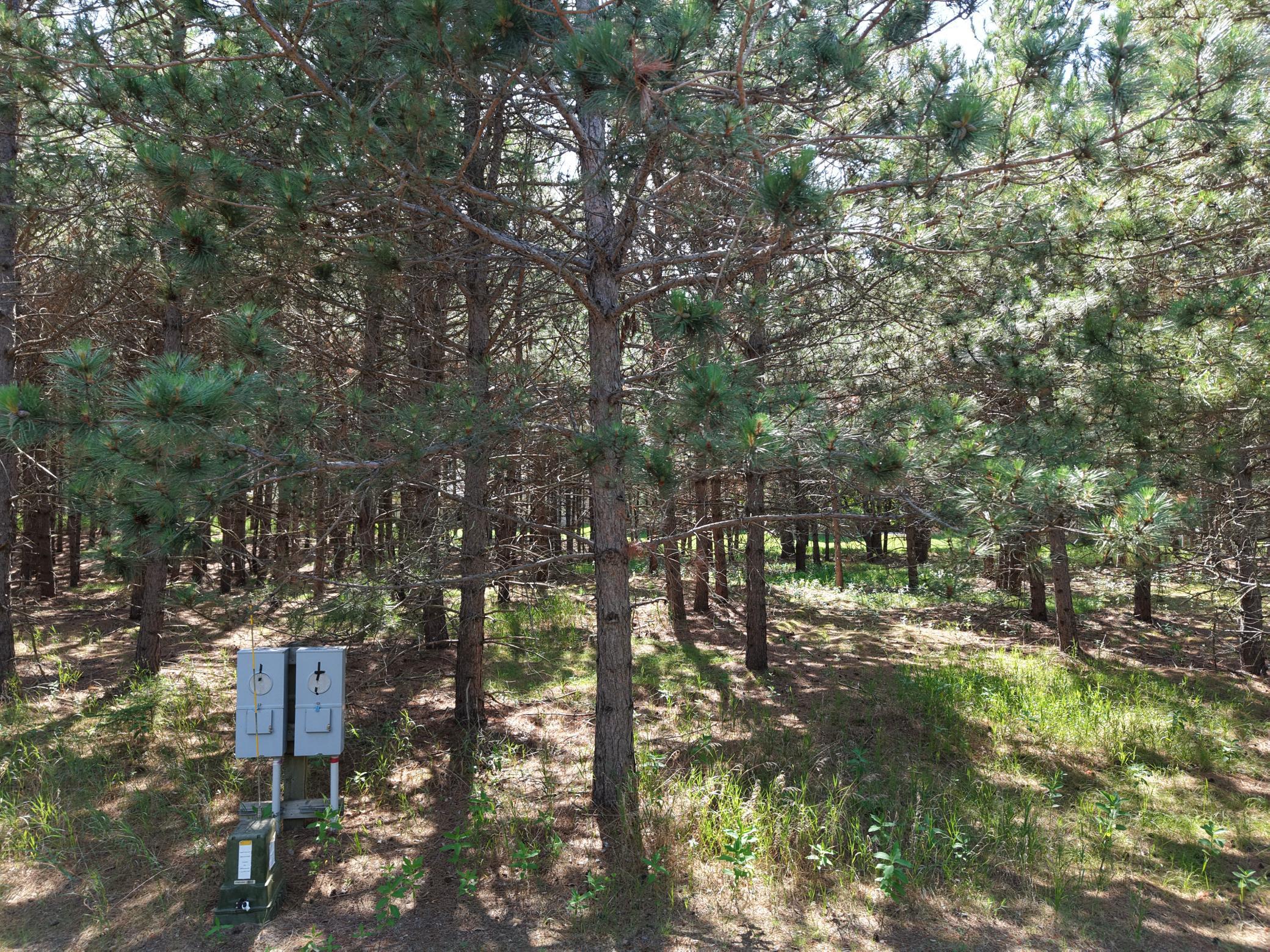 Property photo for 1115 Sunset, Unit 32 Loop, Park Rapids, MN 56470