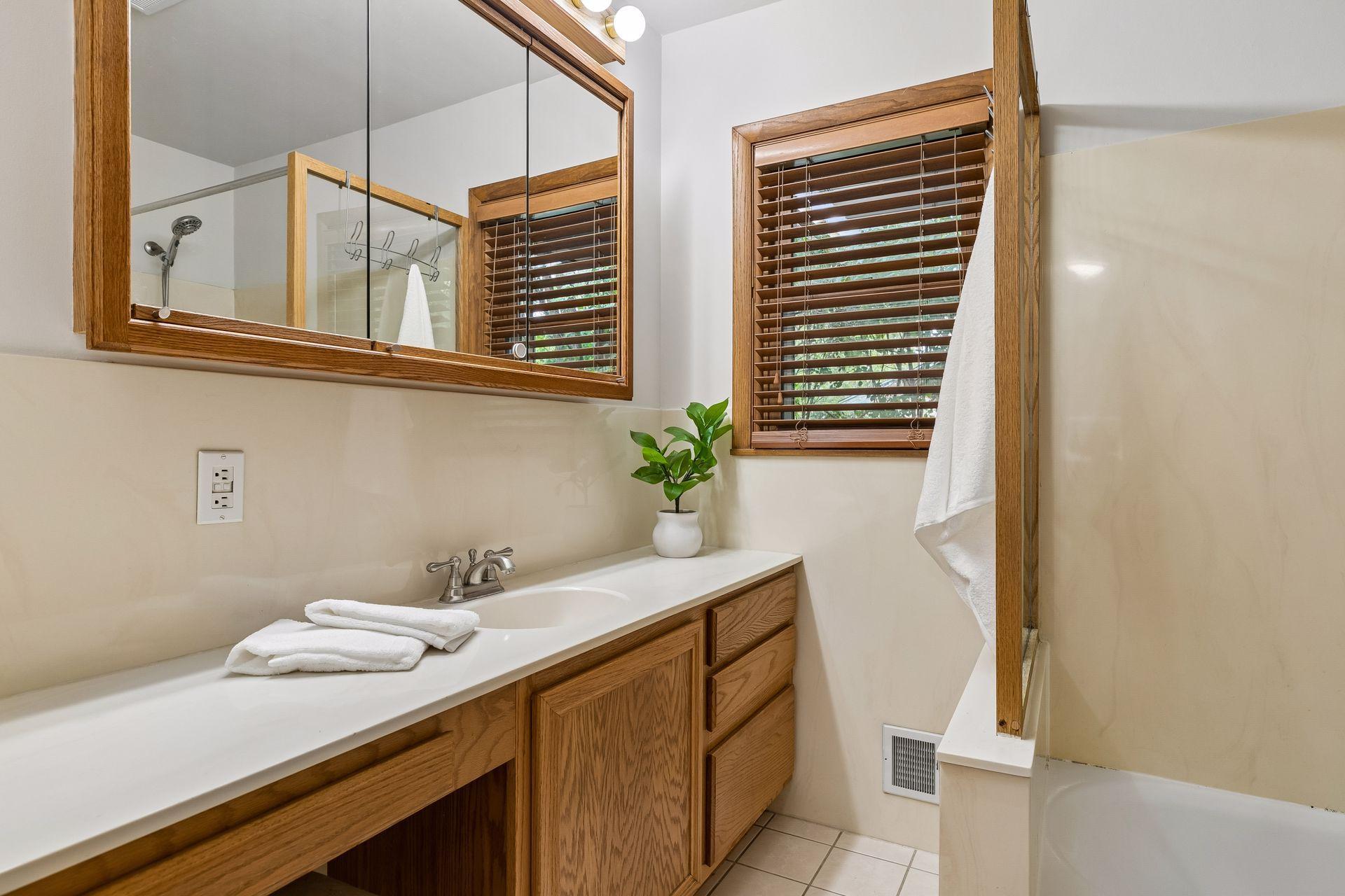 Main floor bath with large vanity. Plenty of space to work with.