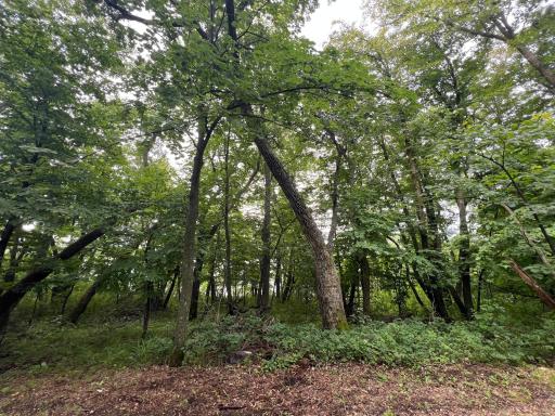 23676 Veitenheimer Road, Dalton, MN 56324