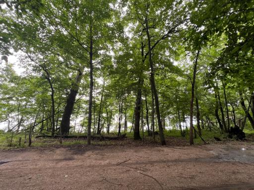 23676 Veitenheimer Road, Dalton, MN 56324